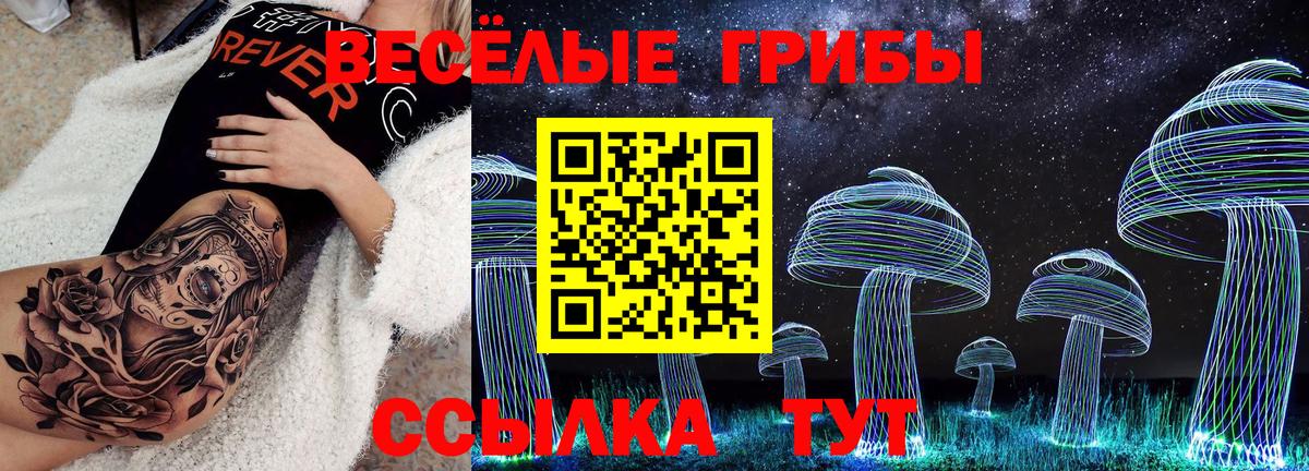 Бузулук  Галлюциногенные грибы Psilocybine cubensis  Вход с VPN 